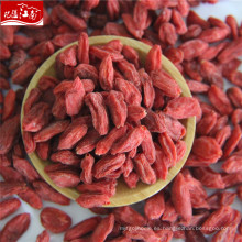 Goji rojo, tibet goji